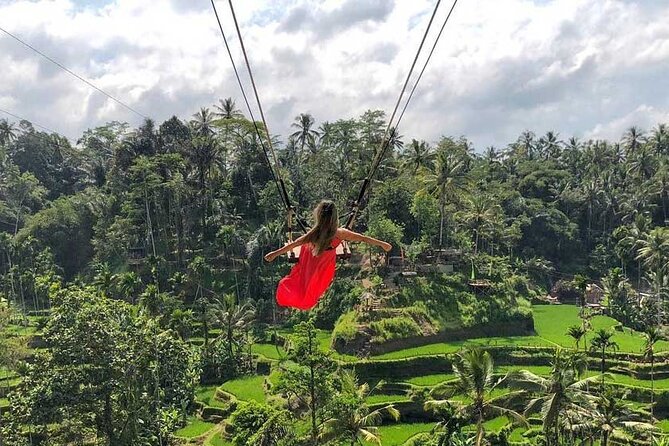 Best Ubud Tour Private Tour All Inclusive Package - From Kuta to Ubud in Air-Conditioned Comfort