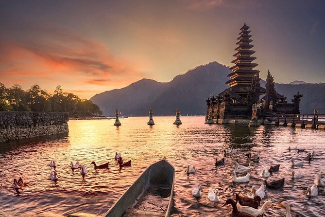 Best Ubud Tour with Instagrammable Jungle Swing all inclusive - Bongkasa Jungle Swing: The Photo Stop You’ll Actually Want to Do