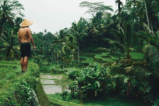 Best Ubud Tours -All inclusive with private driver - Key Highlights You’ll Actually Feel