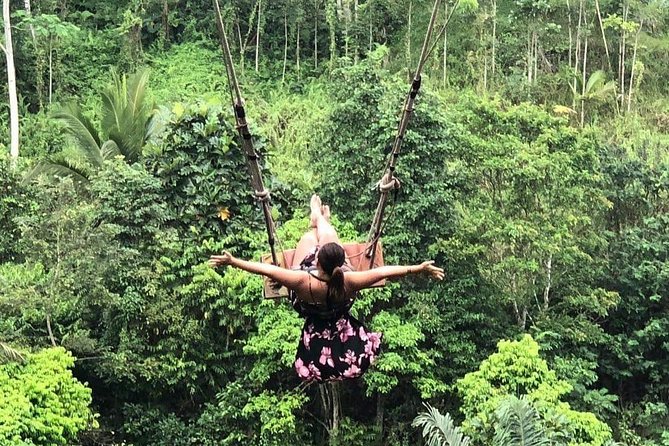 Best Ubud Tours -All inclusive with private driver - How This Private Ubud Day Saves Your Energy