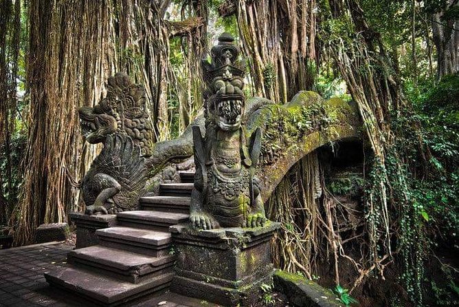 Best Ubud Tours -All inclusive with private driver - Private Pickup and Driver: Ride Comfortably, Think Less