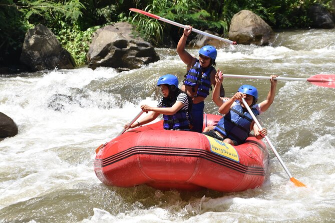 Best White Water Rafting & Lunch, Ubud - The real ride plan: 11 km, 28 rapids, and what class II–III means