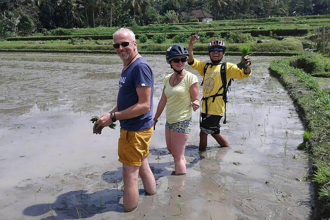 Bike ride in the rice fields, Bali countryside - Bikes, Helmets, and Family-Friendly Details That Actually Matter