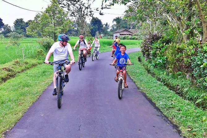 Bike ride in the rice fields, Bali countryside - Pickup and Costs Around Seminyak: Know Your Start Point So You Don’t Get Surprised