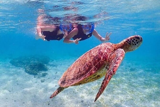 Bloo Lagoon Snorkeling East Bali Includes Transportation & Lunch - Door-to-door transport makes east Bali feel doable