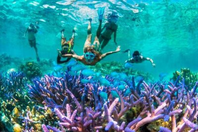 Bloo Lagoon Snorkeling East Bali Includes Transportation & Lunch - Blue Lagoon Beach: where the fish-and-coral show happens