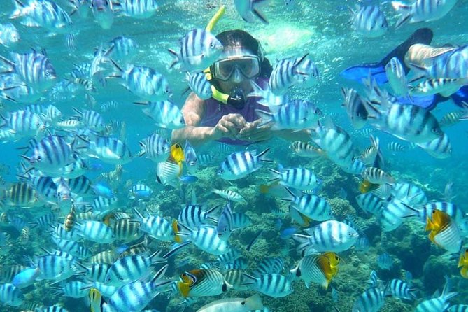 Bloo Lagoon Snorkeling East Bali Includes Transportation & Lunch - Lunch that actually fits a snorkeling day