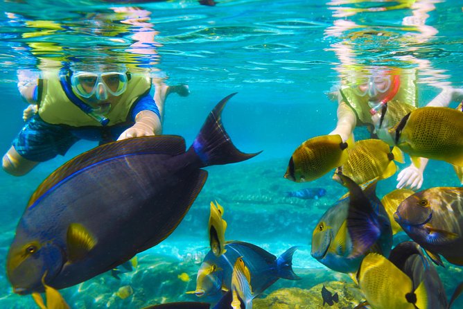 Bloo Lagoon Snorkeling East Bali Includes Transportation & Lunch - Snorkeling gear and swim support: what’s included and what you should pack