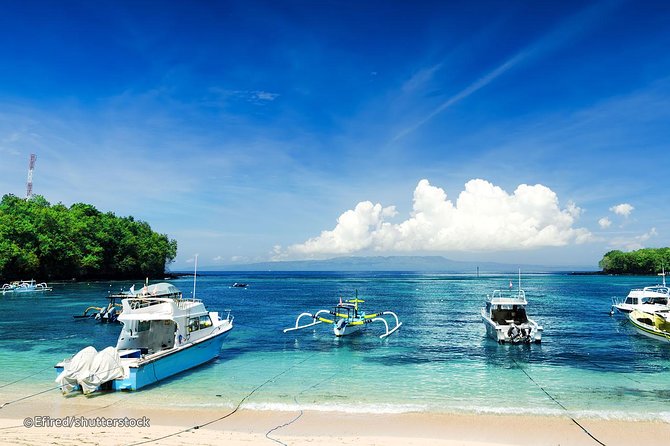 Bloo Lagoon Snorkeling East Bali Includes Transportation & Lunch - How this price adds up (and who it’s best for)