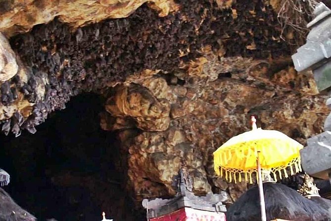 Blow Lagoon Bali Snorkeling and see Bali Bats Cave Temple - Price and What You Actually Get for $25