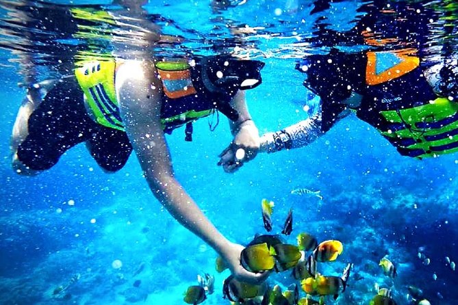 Blue Lagoon Paradise Snorkeling Tour - Key things I’d plan for before you go