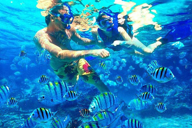 Blue Lagoon Snorkeling and Lunch - Ubud Monkey Forest - Waterfall - Tanjung Jepun snorkeling hour: second spot, different views