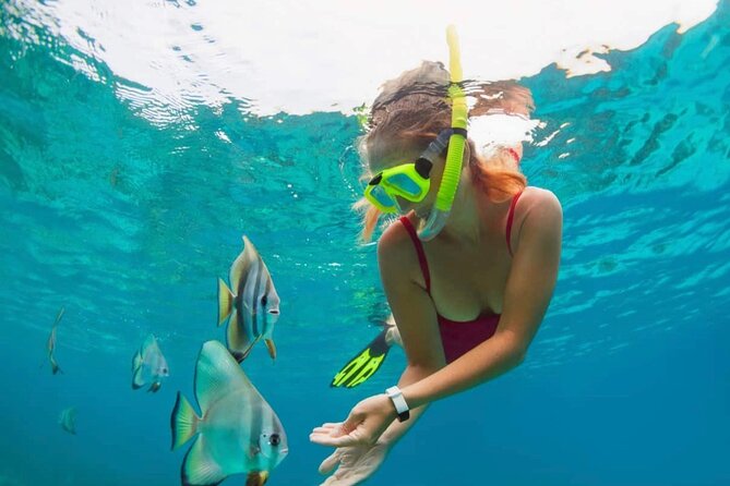 Blue Lagoon Snorkeling and Lunch with Tukad Cepung Waterfall - Key highlights to know before you go