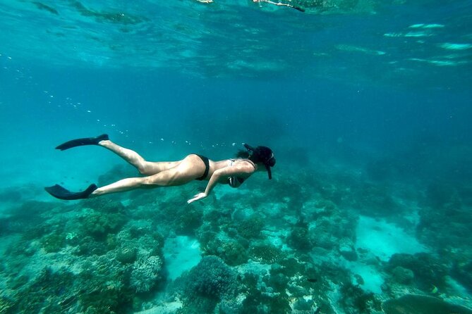Blue Lagoon Snorkeling and Lunch with Tukad Cepung Waterfall - Blue Lagoon snorkeling: briefing, boat transfer, and sandy-bottom reefs