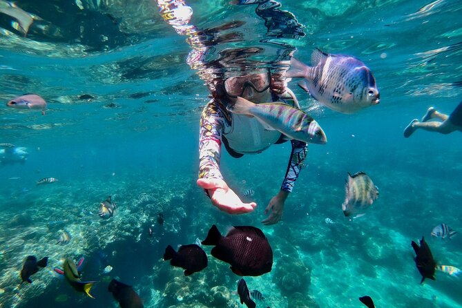 Blue Lagoon Snorkeling and Lunch with Tukad Cepung Waterfall - Shower, charging, and lunch in Padangbai at Topi Inn