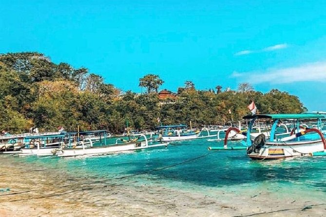 Blue Lagoon Snorkeling and Lunch with Visit Tegenungn Waterfall in Ubud - Tegenungan Waterfall: A Classic Stop Without the Too-Long Grind