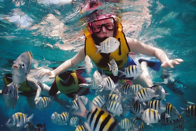 Blue Lagoon Snorkeling - Bali Best Snorkeling Site - Price and Value: Is $65 Worth It?