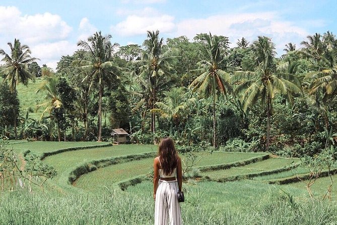 Blue Lagoon Snorkeling - Jungle Swing - Ubud - All Inclusive - Masks, social distance, and staying comfortable in Bali heat