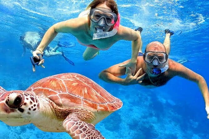 Blue Lagoon Snorkeling with Lunch and Private Transport - Price and value for a $60 private snorkeling outing