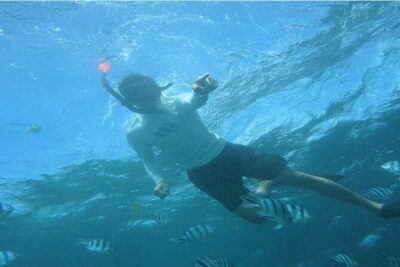 Blue Lagoon Snorkeling with Lunch and Private Transport - How the experience flows: pickup, boat transfer, and Blue Lagoon time