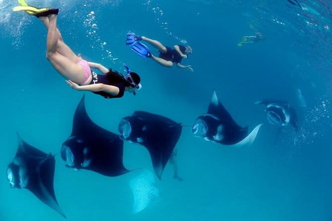 Blue Lagoon Snorkeling with Lunch and Private Transport - Weather reality check: when the sea decides the schedule
