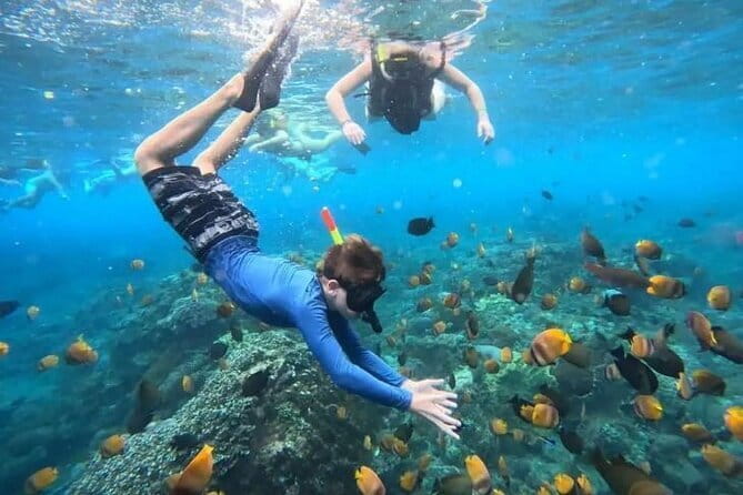Blue Lagoon Snorkeling with Lunch and Waterfall in Ubud - Key highlights worth planning for