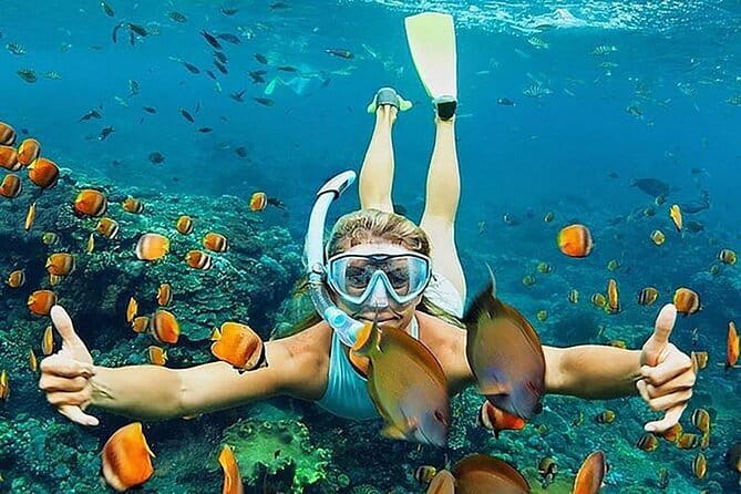 Blue Lagoon Snorkeling with Lunch and Waterfall in Ubud - Blue Lagoon snorkeling on Ceningan: what this day feels like