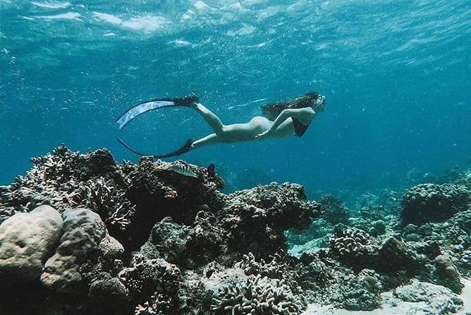 Blue Lagoon Snorkeling with Lunch and Waterfall in Ubud - Who this private Blue Lagoon + waterfall day is best for
