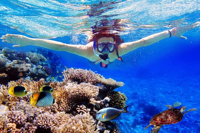 Blue Lagoon & Tanjung Jepun Snorkeling Private Tour - Key highlights you’ll feel right away