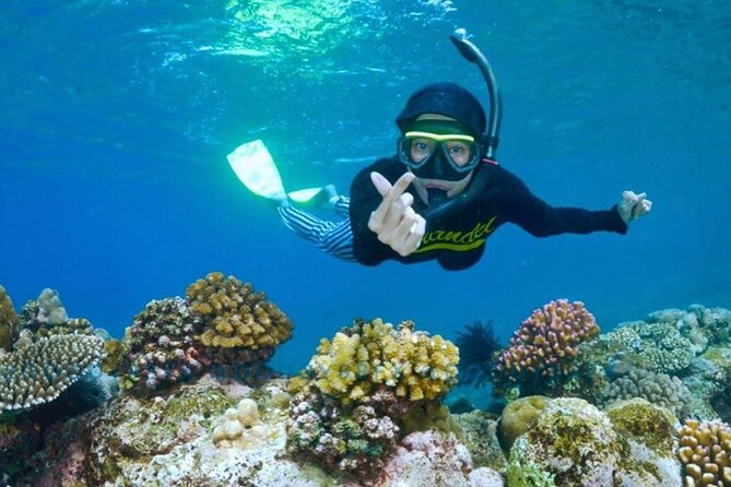 Blue Lagoon & Tanjung Jepun Snorkeling Private Tour - Why Padang Bai makes Blue Lagoon and Tanjung Jepun work