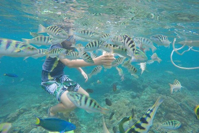 Blue Lagoon & Tanjung Jepun Snorkeling Private Tour - Blue Lagoon snorkel: calm conditions for new snorkelers