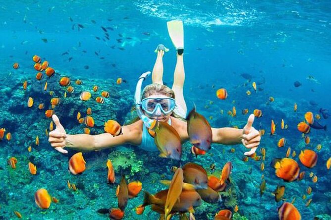 Blue Lagoon & Tanjung Jepun Snorkeling Private Tour - How the traditional boat day is organized