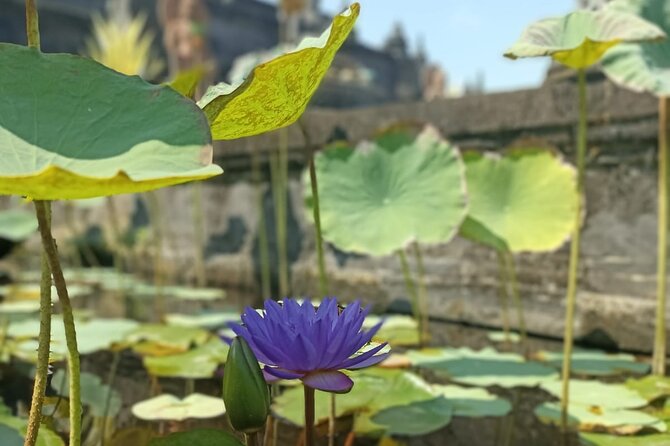 Brahmavihara Arama Banjar Hot Spring Ulundanu Bratan Private Tour - Stop 5: Ulun Danu Beratan (Ulundanu Bratan) Temple by the lake