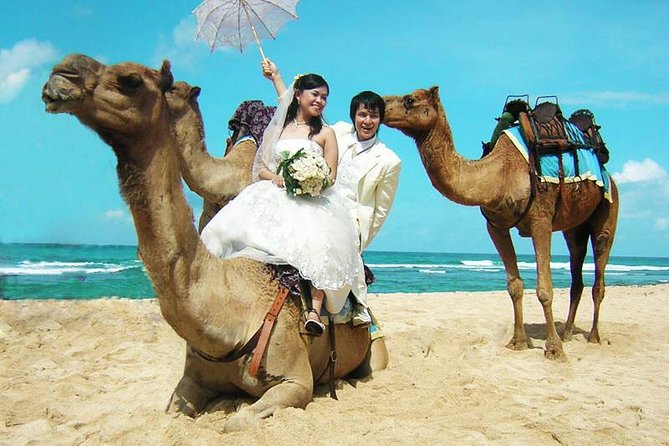 Camel Safari 30 minutes In White Sand Beach - Key highlights you’ll feel right away