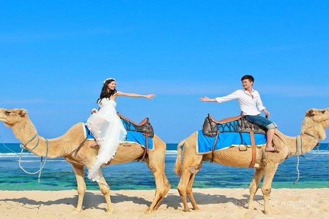 Camel Safari 30 minutes In White Sand Beach - Sawangan Beach Camel Time: What this ride really is
