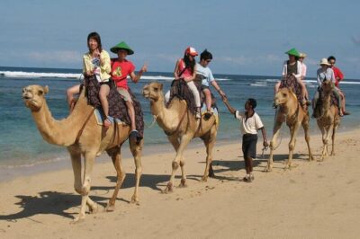 Camel Safari 30 minutes In White Sand Beach - Your 30 minutes: How the camel safari unfolds on the sand