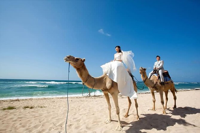 Camel Safari 30 minutes In White Sand Beach - Safety and comfort: what makes this feel steady, not scary