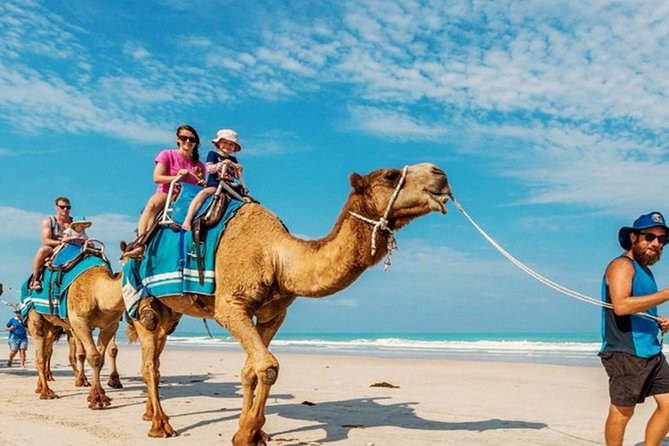 Camel Safari 30 minutes In White Sand Beach - Timing, weather, and the little date catch