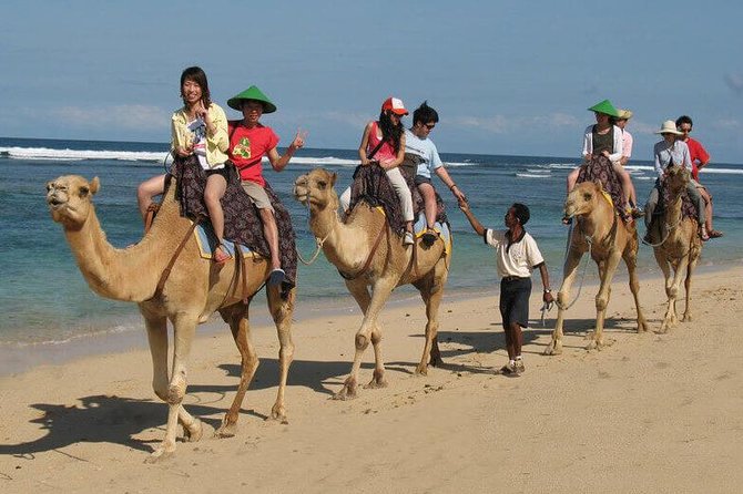 Camel Safari 30 minutes In White Sand Beach - Your 30 minutes: How the camel safari unfolds on the sand