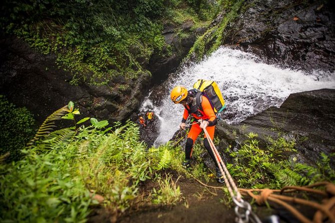 Canyoning Bali : Anahata CANYON (Adventure, discovery, nature) - What makes Anahata challenging: rappel count, height, and the Excalibur style