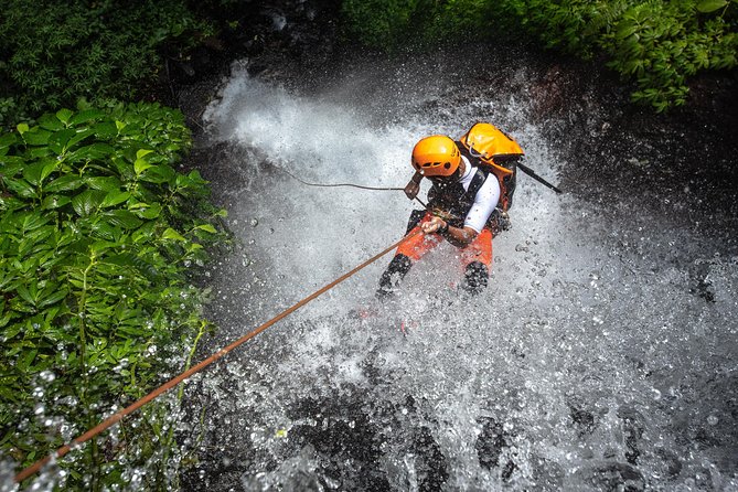 Canyoning Bali, Tamata Canyon (Adventure, discovery, nature) - Tamata Canyon: What the Day Actually Feels Like