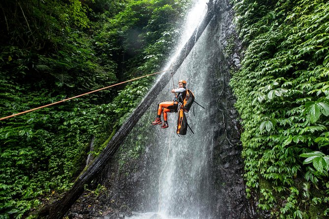 Canyoning Bali, Tamata Canyon (Adventure, discovery, nature) - Waterfalls and Rope Work: Where the Adrenaline Shows Up