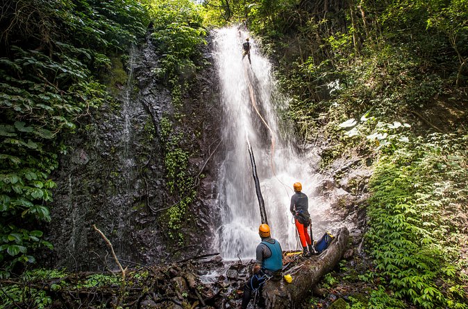 Canyoning Bali, Tamata Canyon (Adventure, discovery, nature) - Who This Tour Fits Best (And Who Should Skip It)