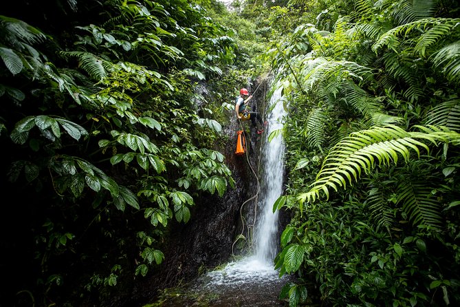 Canyoning Bali, Tamata Canyon (Adventure, discovery, nature) - Basecamp Setup: Coffee, Gear, and a Real Warm-Up