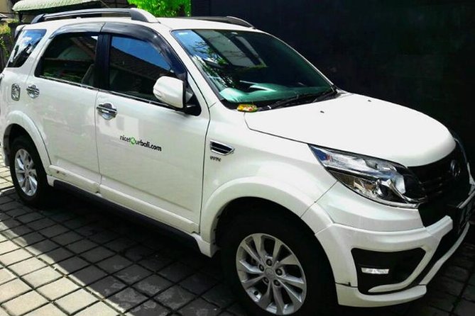 Car charter in Bali with English Speaking Driver - Price and logistics: what $30 really buys (and what it doesn’t)