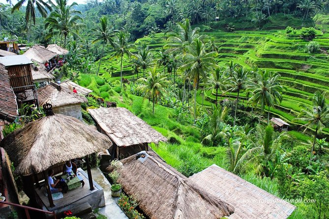 Charter Standard Vehicle with Driver at Bali- 5 Hours Usage - How a 5-hour Bali chauffeur fits your day (without a rigid itinerary)