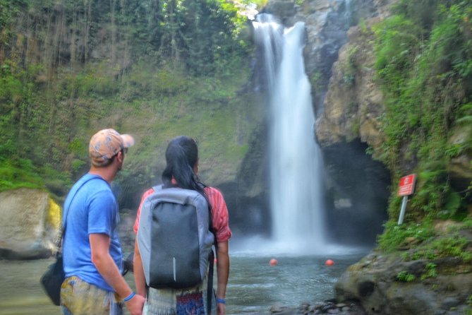 Cretya Ubud and Monkey Forest Sanctuary Tours - Quick highlights you’ll feel right away