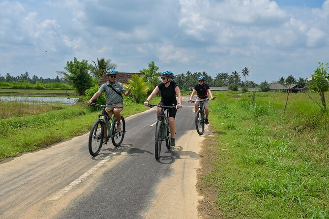Cycling and Cooking Class in Ubud - Price and Value: Is $91.22 Actually Fair?