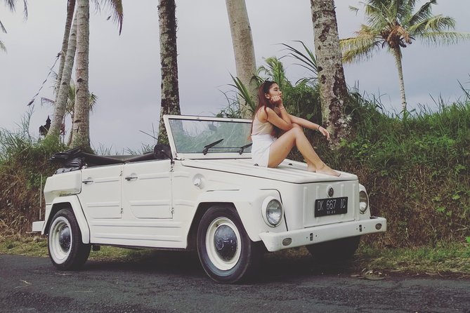 Daily VW Tour - Ubud VW Tour - Key Highlights You’ll Actually Feel