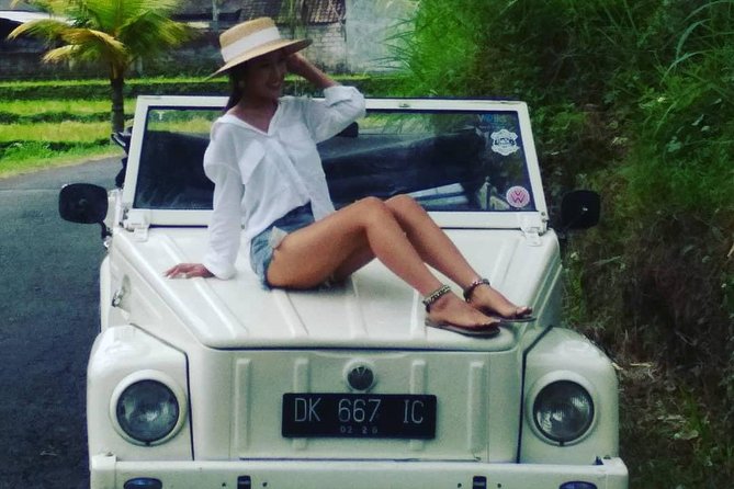 Daily VW Tour - Ubud VW Tour - Price and Value: What $87.18 Buys You in Real Life